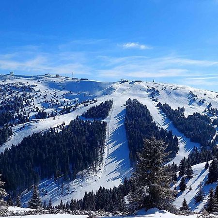 Woodside Apartment M Kopaonik Free Parking 外观 照片