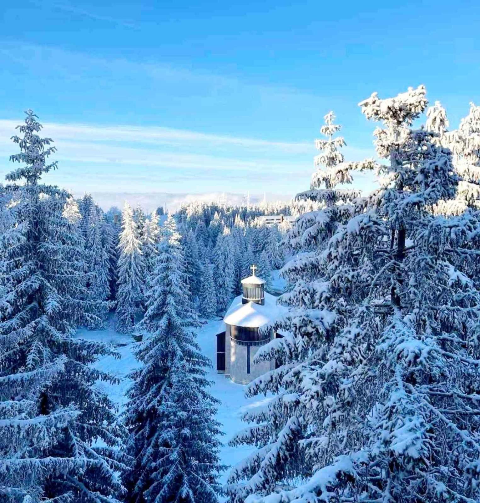 Woodside Apartment M Kopaonik Free Parking 外观 照片