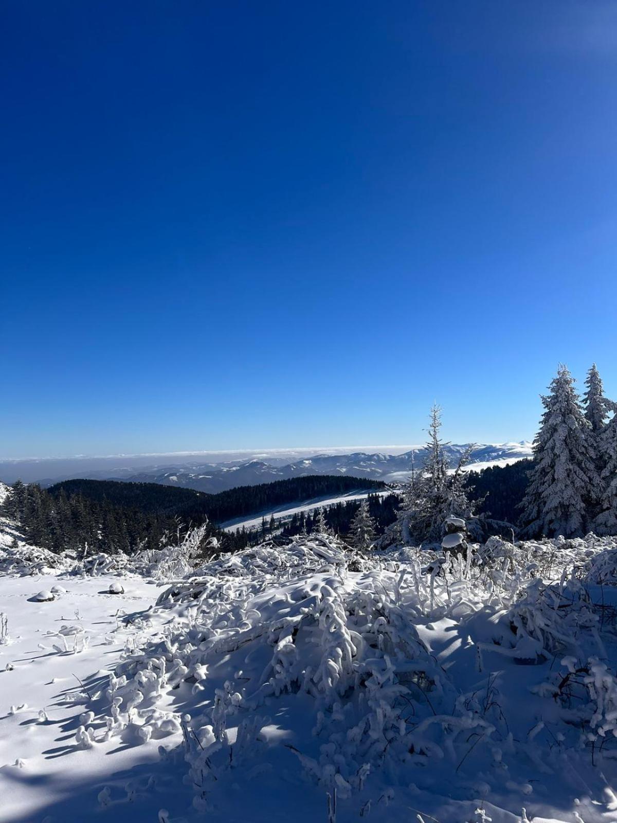 Woodside Apartment M Kopaonik Free Parking 外观 照片