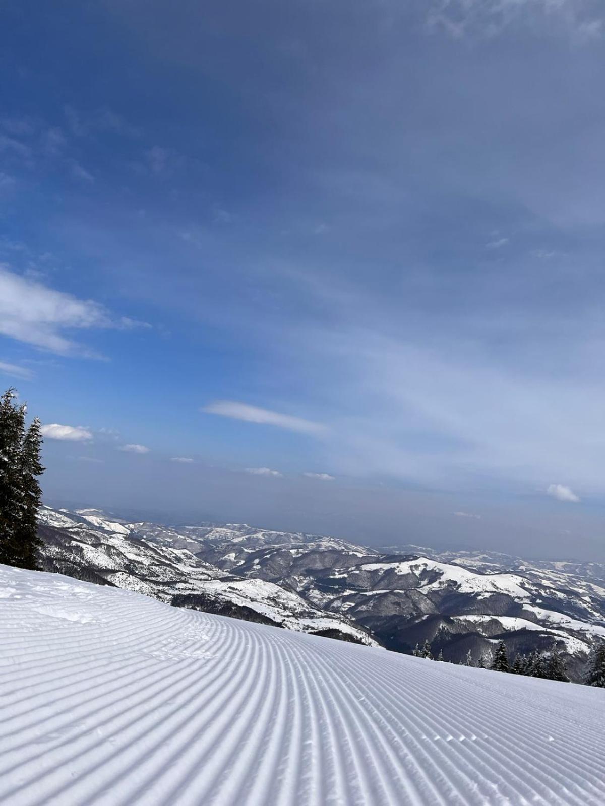 Woodside Apartment M Kopaonik Free Parking 外观 照片