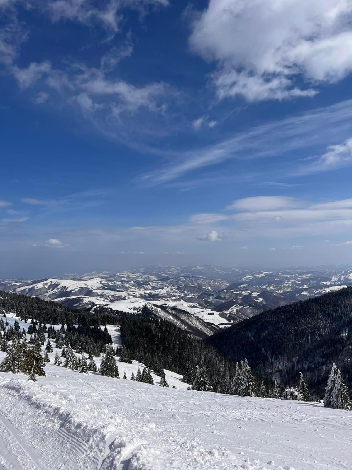 Woodside Apartment M Kopaonik Free Parking 外观 照片