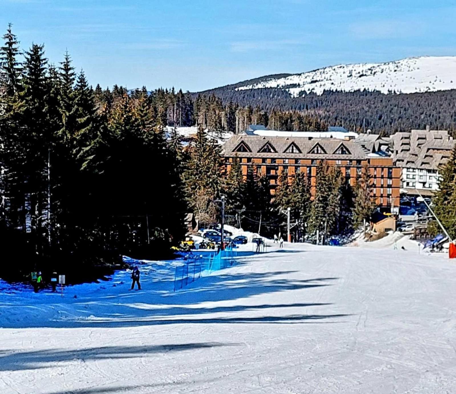Woodside Apartment M Kopaonik Free Parking 外观 照片