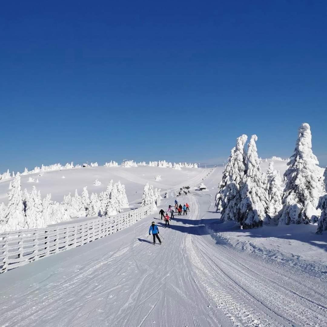 Woodside Apartment M Kopaonik Free Parking 外观 照片